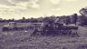 Sepia Truck and Traction Engine